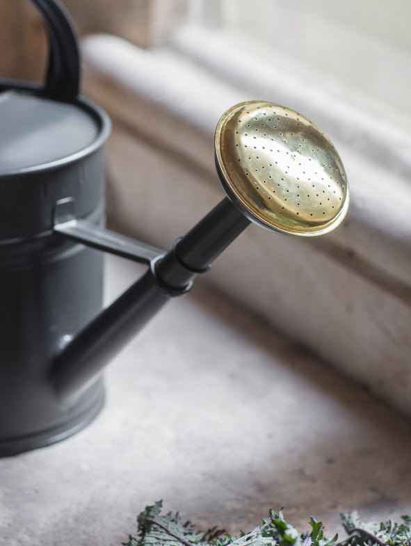 Watering Can - 10L